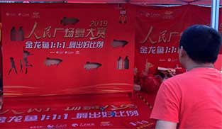 վӬF(xin)~Α򻥄Ӆ^(q)