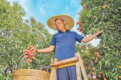 藍(lán)莓等大幅降價(jià)